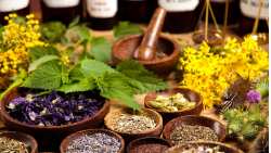 &Omicron;&iota; &epsilon;&upsilon;&epsilon;&rho;&gamma;&epsilon;&tau;&iota;&kappa;έ&sigmaf; &iota;&delta;&iota;ό&tau;&eta;&tau;&epsilon;&sigmaf; &tau;&omega;&nu; &beta;&omicron;&tau;ά&nu;&omega;&nu; &alpha;&nu;ά &alpha;&sigma;&theta;έ&nu;&iota;&alpha;