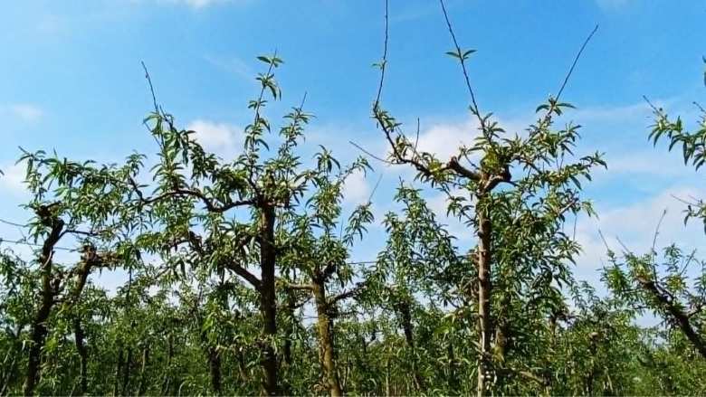 &Delta;&epsilon;&nu; &phi;&tau;&alpha;ί&nu;&epsilon; &omicron;&iota; &alpha;&gamma;&rho;ό&tau;&epsilon;&sigmaf; &gamma;&iota;&alpha; &tau;&iota;&sigmaf; &xi;&epsilon;&rho;έ&sigmaf; &kappa;&alpha;&iota; &tau;&upsilon;&phi;&lambda;έ&sigmaf; &beta;έ&rho;&gamma;&epsilon;&sigmaf; &ndash; &Nu;&alpha; &sigma;&tau;&alpha;&mu;&alpha;&tau;ή&sigma;&epsilon;&iota; &tau;ώ&rho;&alpha; &eta; &mu;&epsilon;&tau;&alpha;&phi;&omicron;&rho;ά &epsilon;&upsilon;&theta;&upsilon;&nu;ώ&nu; &sigma;&tau;&omicron;&upsilon;&sigmaf; &rho;&omicron;&delta;&alpha;&kappa;&iota;&nu;&omicron;&pi;&alpha;&rho;&alpha;&gamma;&omega;&gamma;&omicron;ύ&sigmaf;