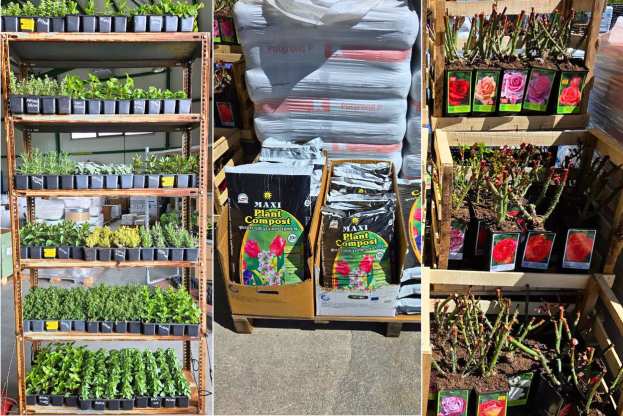 &Sigma;&pi;&omicron;&rho;ό&phi;&upsilon;&tau;&alpha;, &Tau;&rho;&iota;&alpha;&nu;&tau;&alpha;&phi;&upsilon;&lambda;&lambda;&iota;έ&sigmaf;, &alpha;&rho;&omega;&mu;&alpha;&tau;&iota;&kappa;ά &phi;&upsilon;&tau;ά &kappa;&alpha;&iota; &omicron;,&tau;&iota; &chi;&rho;&epsilon;&iota;ά&zeta;&epsilon;&tau;&alpha;&iota; &omicron; &kappa;ή&pi;&omicron;&sigmaf; &sigma;&omicron;&upsilon;! (2026)