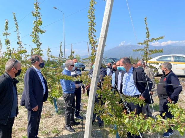 &Delta;&iota;&omicron;&nu;ύ&sigma;&eta;&sigmaf; &Sigma;&tau;&alpha;&mu;&epsilon;&nu;ί&tau;&eta;&sigmaf;: &laquo;&Kappa;&upsilon;&beta;έ&rho;&nu;&eta;&sigma;&eta; &kappa;&alpha;&iota; &Epsilon;&Lambda;&Gamma;&Alpha; έ&chi;&omicron;&upsilon;&nu; &sigma;&upsilon;&gamma;&kappa;&epsilon;&kappa;&rho;&iota;&mu;έ&nu;&omicron; &sigma;&chi;&epsilon;&delta;&iota;&alpha;&sigma;&mu;ό &gamma;&iota;&alpha; &delta;ί&kappa;&alpha;&iota;&epsilon;&sigmaf; &kappa;&alpha;&iota; &gamma;&rho;ή&gamma;&omicron;&rho;&epsilon;&sigmaf; &alpha;&pi;&omicron;&zeta;&eta;&mu;&iota;ώ&sigma;&epsilon;&iota;&sigmaf;&raquo;