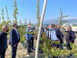 &Delta;&iota;&omicron;&nu;ύ&sigma;&eta;&sigmaf; &Sigma;&tau;&alpha;&mu;&epsilon;&nu;ί&tau;&eta;&sigmaf;: &laquo;&Kappa;&upsilon;&beta;έ&rho;&nu;&eta;&sigma;&eta; &kappa;&alpha;&iota; &Epsilon;&Lambda;&Gamma;&Alpha; έ&chi;&omicron;&upsilon;&nu; &sigma;&upsilon;&gamma;&kappa;&epsilon;&kappa;&rho;&iota;&mu;έ&nu;&omicron; &sigma;&chi;&epsilon;&delta;&iota;&alpha;&sigma;&mu;ό &gamma;&iota;&alpha; &delta;ί&kappa;&alpha;&iota;&epsilon;&sigmaf; &kappa;&alpha;&iota; &gamma;&rho;ή&gamma;&omicron;&rho;&epsilon;&sigmaf; &alpha;&pi;&omicron;&zeta;&eta;&mu;&iota;ώ&sigma;&epsilon;&iota;&sigmaf;&raquo;