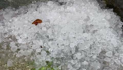&Iota;&sigma;&chi;&upsilon;&rho;ή &chi;&alpha;&lambda;&alpha;&zeta;ό&pi;&tau;&omega;&sigma;&eta; έ&pi;&lambda;&eta;&xi;&epsilon; &pi;&epsilon;&rho;&iota;&omicron;&chi;έ&sigmaf; &tau;&eta;&sigmaf; &Kappa;&alpha;&sigma;&tau;&omicron;&rho;&iota;ά&sigmaf; - &Sigma;&omicron;&beta;&alpha;&rho;έ&sigmaf; &zeta;&eta;&mu;&iota;έ&sigmaf; &sigma;&epsilon; &mu;ή&lambda;&alpha; &kappa;&alpha;&iota; &sigma;&tau;&alpha; &phi;&alpha;&sigma;ό&lambda;&iota;&alpha; &Pi;&rho;έ&sigma;&pi;&alpha;&sigmaf;