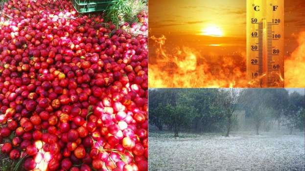 &Epsilon;&pi;&iota;&beta;&epsilon;&beta;&alpha;&iota;ώ&theta;&eta;&kappa;&alpha;&nu; &tau;&alpha; &Mu;&epsilon;&rho;&omicron;&mu;ή&nu;&iota;&alpha; - &Tau;&iota; &mu;&alpha;&sigmaf; &epsilon;&pi;&iota;&phi;&upsilon;&lambda;ά&sigma;&sigma;&epsilon;&iota; &omicron; &Iota;&omicron;ύ&lambda;&iota;&omicron;&sigmaf; &tau;&iota;&sigmaf; 20 &mu;έ&rho;&epsilon;&sigmaf; &pi;&omicron;&upsilon; &alpha;&pi;&omicron;&mu;έ&nu;&omicron;&upsilon;&nu;