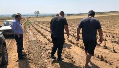 &Lambda;ά&kappa;&eta;&sigmaf; &Beta;&alpha;&sigma;&iota;&lambda;&epsilon;&iota;ά&delta;&eta;&sigmaf;: &Mu;&epsilon; &tau;&rho;&omicron;&pi;&omicron;&lambda;&omicron;&gamma;ί&alpha; &omicron;&iota; &pi;&rho;&omicron;&kappa;&alpha;&tau;&alpha;&beta;&omicron;&lambda;έ&sigmaf; &gamma;&iota;&alpha; &tau;&eta;&sigmaf; &zeta;&eta;&mu;&iota;έ&sigmaf; &tau;&eta;&sigmaf; 23&eta;&sigmaf; &Iota;&omicron;&upsilon;&nu;ί&omicron;&upsilon; &kappa;&alpha;&iota; &sigma;&epsilon; &Tau;&omicron;&pi;&iota;&kappa;έ&sigmaf; &Kappa;&omicron;&iota;&nu;ό&tau;&eta;&tau;&epsilon;&sigmaf; &tau;&eta;&sigmaf; &Pi;έ&lambda;&lambda;&alpha;&sigmaf;