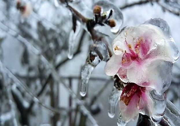 &Upsilon;&pi;&Alpha;&Alpha;&Tau;, &Sigma;&pi;. &Lambda;&iota;&beta;&alpha;&nu;ό&sigmaf;: &Kappa;&rho;ί&sigma;&iota;&mu;&epsilon;&sigmaf; &delta;&iota;&alpha;&pi;&rho;&alpha;&gamma;&mu;&alpha;&tau;&epsilon;ύ&sigma;&epsilon;&iota;&sigmaf; &sigma;&tau;&eta;&nu; &Epsilon;.&Epsilon; &gamma;&iota;&alpha; &tau;&iota;&sigmaf; &alpha;&pi;&omicron;&zeta;&eta;&mu;&iota;ώ&sigma;&epsilon;&iota;&sigmaf; &alpha;&pi;ό &tau;&omicron;&nu; &pi;&alpha;&gamma;&epsilon;&tau;ό
