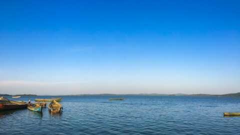 &Delta;&iota;&alpha;&mu;&alpha;&rho;&tau;&upsilon;&rho;ί&alpha; &epsilon;&pi;&alpha;&gamma;&gamma;&epsilon;&lambda;&mu;&alpha;&tau;&iota;ώ&nu; &psi;&alpha;&rho;ά&delta;&omega;&nu; &sigma;&tau;&eta; &lambda;ί&mu;&nu;&eta; &Pi;&omicron;&lambda;&upsilon;&phi;ύ&tau;&omicron;&upsilon;