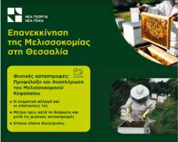 &Epsilon;&pi;&alpha;&nu;&epsilon;&kappa;&kappa;ί&nu;&eta;&sigma;&eta; &tau;&eta;&sigmaf; &Mu;&epsilon;&lambda;&iota;&sigma;&sigma;&omicron;&kappa;&omicron;&mu;ί&alpha;&sigmaf; &sigma;&tau;&eta; &Theta;&epsilon;&sigma;&sigma;&alpha;&lambda;ί&alpha;, &pi;&rho;&alpha;&gamma;&mu;&alpha;&tau;&omicron;&pi;&omicron;ί&eta;&sigma;&eta; &epsilon;&pi;&iota;&mu;&omicron;&rho;&phi;&omega;&tau;&iota;&kappa;&omicron;ύ &epsilon;&rho;&gamma;&alpha;&sigma;&tau;&eta;&rho;ί&omicron;&upsilon; &sigma;&tau;&eta;&nu; &Kappa;&alpha;&rho;&delta;ί&tau;&sigma;&alpha;