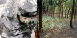 &Phi;&alpha;&rho;&mu;&alpha;&kappa;&epsilon;&upsilon;&tau;&iota;&kappa;ά &pi;&rho;&omicron;ϊό&nu;&tau;&alpha; &sigma;&tau;&omicron; &pi;&epsilon;&rho;&iota;&beta;ά&lambda;&lambda;&omicron;&nu; - &Eta; &Epsilon;E &omicron;&rho;ί&zeta;&epsilon;&iota; &delta;&rho;ά&sigma;&epsilon;&iota;&sigmaf; &gamma;&iota;&alpha; &tau;&eta;&nu; &alpha;&nu;&tau;&iota;&mu;&epsilon;&tau;ώ&pi;&iota;&sigma;&eta; &tau;&omega;&nu; &kappa;&iota;&nu;&delta;ύ&nu;&omega;&nu; &kappa;&alpha;&iota; &tau;&omega;&nu; &pi;&rho;&omicron;&kappa;&lambda;ή&sigma;&epsilon;&omega;&nu;