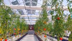 &Epsilon;&lambda;&lambda;&eta;&nu;&iota;&kappa;ή &pi;&alpha;&rho;&alpha;&gamma;&omega;&gamma;ή &pi;&rho;ά&sigma;&iota;&nu;&eta;&sigmaf; &epsilon;&nu;έ&rho;&gamma;&epsilon;&iota;&alpha;&sigmaf; &sigma;&tau;&alpha; &theta;&epsilon;&rho;&mu;&omicron;&kappa;ή&pi;&iota;&alpha;