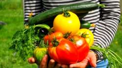 &Tau;&alpha; 7 &mu;&upsilon;&sigma;&tau;&iota;&kappa;ά &gamma;&iota;&alpha; έ&nu;&alpha;&nu; &upsilon;&pi;έ&rho;-&pi;&alpha;&rho;&alpha;&gamma;&omega;&gamma;&iota;&kappa;ό &lambda;&alpha;&chi;&alpha;&nu;ό&kappa;&eta;&pi;&omicron;