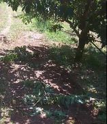 &Kappa;ί&nu;&delta;&upsilon;&nu;&omicron;&sigmaf; &gamma;&iota;&alpha; &tau;&omicron;&upsilon;&sigmaf; &alpha;&gamma;&rho;ό&tau;&epsilon;&sigmaf; &omicron;&iota; &epsilon;&pi;&iota;&sigma;&kappa;έ&psi;&epsilon;&iota;&sigmaf; &alpha;&rho;&kappa;&omicron;ύ&delta;&alpha;&sigmaf; &sigma;&epsilon; &kappa;&tau;ή&mu;&alpha;&tau;&alpha; &mu;&epsilon; &kappa;&epsilon;&rho;&alpha;&sigma;&iota;έ&sigmaf; &sigma;&tau;&eta;&nu; &Eta;&mu;&alpha;&theta;ί&alpha; (&Beta;ί&nu;&tau;&epsilon;&omicron;)