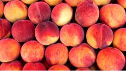 &Sigma;&tau;&iota;&sigmaf; &lambda;&alpha;ϊ&kappa;έ&sigmaf; &alpha;&gamma;&omicron;&rho;έ&sigmaf; &tau;&omicron; market pass