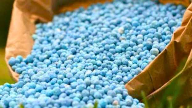 &Theta;&epsilon;&omicron;&delta;ώ&rho;&alpha; &Tau;&zeta;ά&kappa;&rho;&eta;: &laquo;&Mu;έ&tau;&rho;&alpha; &omicron;&phi;&theta;&alpha;&lambda;&mu;&alpha;&pi;ά&tau;&eta; &gamma;&iota;&alpha; &tau;&eta;&nu; &alpha;&kappa;&rho;ί&beta;&epsilon;&iota;&alpha; &sigma;&tau;&alpha; &kappa;&alpha;ύ&sigma;&iota;&mu;&alpha;, &sigma;&tau;&alpha;  &lambda;&iota;&pi;ά&sigma;&mu;&alpha;&tau;&alpha; &kappa;&alpha;&iota; &sigma;&tau;&alpha; &alpha;&kappa;&tau;&omicron;&pi;&lambda;&omicron;ϊ&kappa;ά &epsilon;&iota;&sigma;&iota;&tau;ή&rho;&iota;&alpha;&raquo;