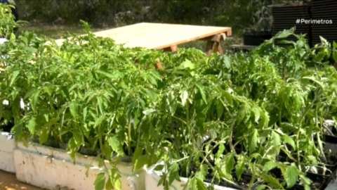 &Delta;&rho;ά&mu;&alpha;: &Eta; 26&eta; &gamma;&iota;&omicron;&rho;&tau;ή &sigma;&pi;ό&rho;&omega;&nu; &tau;&omicron;&upsilon; &Pi;&epsilon;&lambda;ί&tau;&iota;