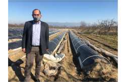 &Omicron; &Lambda;ά&kappa;&eta;&sigmaf; &Beta;&alpha;&sigma;&iota;&lambda;&epsilon;&iota;ά&delta;&eta;&sigmaf; &gamma;&iota;&alpha; &tau;&iota;&sigmaf; &epsilon;&nu;&iota;&sigma;&chi;ύ&sigma;&epsilon;&iota;&sigmaf; &sigma;&tau;&omicron;&upsilon;&sigmaf; &pi;&alpha;&rho;&alpha;&gamma;&omega;&gamma;&omicron;ύ&sigmaf; &sigma;&pi;&alpha;&rho;&alpha;&gamma;&gamma;&iota;&omicron;ύ &tau;&eta;&sigmaf; &Alpha;&lambda;&mu;&omega;&pi;ί&alpha;&sigmaf;