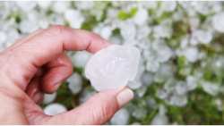 &Tau;&iota; &pi;&rho;&omicron;&beta;&lambda;έ&pi;&epsilon;&iota; &omicron; &nu;έ&omicron;&sigmaf; &kappa;&alpha;&nu;&omicron;&nu;&iota;&sigma;&mu;ό&sigmaf; &tau;&omicron;&upsilon; &Epsilon;&Lambda;&Gamma;&Alpha;