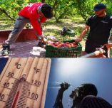 Έ&kappa;&tau;&alpha;&kappa;&tau;&omicron; &Delta;&epsilon;&lambda;&tau;ί&omicron; &Epsilon;&pi;&iota;&delta;&epsilon;ί&nu;&omega;&sigma;&eta;&sigmaf; &Kappa;&alpha;&iota;&rho;&omicron;ύ - &Kappa;&alpha;ύ&sigma;&omega;&nu;&alpha;&sigmaf; &mu;έ&chi;&rho;&iota; &kappa;&alpha;&iota; 41 &beta;&alpha;&theta;&mu;&omicron;ύ&sigmaf; &kappa;&epsilon;&lambda;&sigma;ί&omicron;&upsilon;