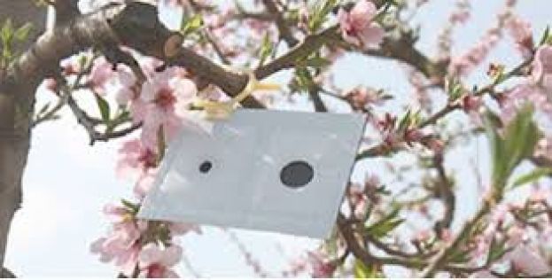 &Alpha;&nu;&alpha;&kappa;&omicron;ί&nu;&omega;&sigma;&eta; &sigma;&chi;&epsilon;&tau;&iota;&kappa;ά &mu;&epsilon; &tau;&omicron; &Mu;έ&tau;&rho;&omicron; 10 &laquo;&Gamma;&epsilon;&omega;&rho;&gamma;&omicron;&pi;&epsilon;&rho;&iota;&beta;&alpha;&lambda;&lambda;&omicron;&nu;&tau;&iota;&kappa;ά &kappa;&alpha;&iota; &kappa;&lambda;&iota;&mu;&alpha;&tau;&iota;&kappa;ά &mu;έ&tau;&rho;&alpha;&raquo; &tau;&omicron;&upsilon; &Pi;&rho;&omicron;&gamma;&rho;ά&mu;&mu;&alpha;&tau;&omicron;&sigmaf; &Alpha;&gamma;&rho;&omicron;&tau;&iota;&kappa;ή&sigmaf; &Alpha;&nu;ά&pi;&tau;&upsilon;&xi;&eta;&sigmaf; (&Pi;.&Alpha;.&Alpha;.) 2014-2020 &ndash; &Delta;&rho;ά&sigma;&eta; 10.1.08 &ldquo;&Epsilon;&phi;&alpha;&rho;&mu;&omicron;&gamma;ή &tau;&eta;&sigmaf; &mu;&epsilon;&theta;ό&delta;&omicron;&upsilon; &sigma;&epsilon;&xi;&omicron;&upsilon;&alpha;&lambda;&iota;&kappa;ή&sigmaf; &sigma;ύ&gamma;&chi;&upsilon;&sigma;&eta;&sigmaf; &tau;&omega;&nu; &mu;&iota;&kappa;&rho;&omicron;&lambda;&epsilon;&pi;&iota;&delta;&omicron;&pi;&tau;έ&rho;&omega;&nu; (&Kappa;&Omicron;&Mu;&Phi;&Omicron;&Upsilon;&Zeta;&Iota;&Omicron;)&rdquo;