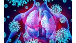 &Upsilon;&gamma;&epsilon;ί&alpha;: &Sigma;&eta;&mu;&alpha;&nu;&tau;&iota;&kappa;ή &alpha;ύ&xi;&eta;&sigma;&eta; &gamma;&iota;&alpha; &tau;&iota;&sigmaf; &lambda;&omicron;&iota;&mu;ώ&xi;&epsilon;&iota;&sigmaf; &tau;&omicron;&upsilon; &alpha;&nu;&alpha;&pi;&nu;&epsilon;&upsilon;&sigma;&tau;&iota;&kappa;&omicron;ύ