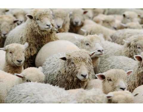 &Alpha;&nu;&alpha;&kappa;&omicron;ί&nu;&omega;&sigma;&eta; &pi;&omicron;&upsilon; &alpha;&phi;&omicron;&rho;ά &sigma;&tau;&eta; &Delta;&rho;ά&sigma;&eta; 10.1.09 &laquo;&Delta;&iota;&alpha;&tau;ή&rho;&eta;&sigma;&eta; &alpha;&pi;&epsilon;&iota;&lambda;&omicron;ύ&mu;&epsilon;&nu;&omega;&nu; &alpha;&upsilon;&tau;ό&chi;&theta;&omicron;&nu;&omega;&nu; &phi;&upsilon;&lambda;ώ&nu; &alpha;&gamma;&rho;&omicron;&tau;&iota;&kappa;ώ&nu; &zeta;ώ&omega;&nu;&raquo; &tau;&omicron;&upsilon; &Pi;&Alpha;&Alpha; 2014-2020