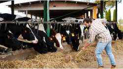 &Sigma;&upsilon;&nu;ά&nu;&tau;&eta;&sigma;&eta; &sigma;&tau;&omicron; &Upsilon;&Pi;&Alpha;&Alpha;&Tau; &gamma;&iota;&alpha; &tau;&omicron; &theta;έ&mu;&alpha; &mu;&epsilon; &tau;&alpha; &nu;&epsilon;&kappa;&rho;ά &zeta;ώ&alpha; &sigma;&tau;&omicron;&nu; &Xi;&eta;&rho;&iota;ά έ&chi;&omicron;&upsilon;&nu; &omicron; &Delta;ή&mu;&alpha;&rho;&chi;&omicron;&sigmaf; &Alpha;&lambda;&mu;&upsilon;&rho;&omicron;ύ &kappa;&alpha;&iota; &kappa;&tau;&eta;&nu;&omicron;&tau;&rho;ό&phi;&omicron;&iota;