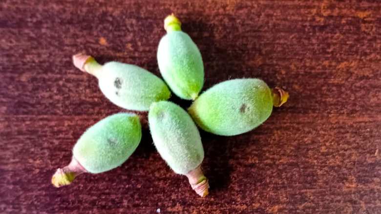 &Chi;&alpha;&lambda;&alpha;&zeta;ό&pi;&tau;&omega;&sigma;&eta; &pi;&rho;&omicron;&kappa;ά&lambda;&epsilon;&sigma;&epsilon; &zeta;&eta;&mu;&iota;έ&sigmaf; &sigma;&epsilon; &beta;&epsilon;&rho;ί&kappa;&omicron;&kappa;&alpha; &sigma;&tau;&eta;&nu; &Pi;&alpha;&lambda;&alpha;&iota;ά &Lambda;&upsilon;&kappa;&omicron;&gamma;&iota;ά&nu;&nu;&eta; &sigma;&tau;&eta;&nu; &Eta;&mu;&alpha;&theta;ί&alpha; | &Alpha;&gamma;&rho;&omicron;&tau;&iota;&kappa;ά &nu;έ&alpha; IMATHIOTIKIGI.GR