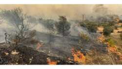 &Epsilon;&mu;&mu;&alpha;&nu;&omicron;&upsilon;ή&lambda; &Phi;&rho;ά&gamma;&kappa;&omicron;&sigmaf;: &Alpha;&nu;&alpha;&xi;&iota;&omicron;&pi;&omicron;ί&eta;&tau;&alpha; &kappa;&omicron;&nu;&delta;ύ&lambda;&iota;&alpha; &gamma;&iota;&alpha; &tau;&eta;&nu; &kappa;&alpha;&tau;&alpha;&sigma;&tau;&rho;&omicron;&phi;ή &sigma;&tau;&omicron;&nu; Έ&beta;&rho;&omicron; &kappa;&alpha;&iota; &phi;&omicron;&rho;&omicron;&lambda;&omicron;&gamma;&iota;&kappa;ά &mu;έ&tau;&rho;&alpha; &sigma;&tau;ή&rho;&iota;&xi;&eta;&sigmaf;