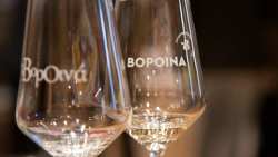 Ά&phi;&theta;&omicron;&nu;&omicron; &tau;&omicron; &kappa;&rho;&alpha;&sigma;ί &sigma;&tau;&eta;&nu; &Alpha;&gamma;&omicron;&rho;ά &Mu;&omicron;&delta;&iota;ά&nu;&omicron; &sigma;&tau;&iota;&sigmaf; 20/9, ό&pi;&omicron;&upsilon; &theta;&alpha; &delta;&iota;&epsilon;&xi;&alpha;&chi;&theta;&omicron;ύ&nu; &tau;&alpha; &laquo;&Beta;&omicron;&rho;&Omicron;&iota;&nu;ά&raquo;