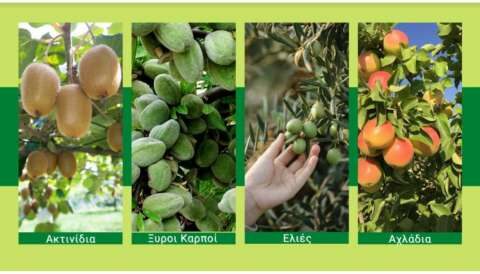 &Sigma;&kappa;έ&phi;&tau;&epsilon;&sigma;&alpha;&iota; &nu;&alpha; &alpha;&lambda;&lambda;ά&xi;&epsilon;&iota;&sigmaf; &Delta;&epsilon;&nu;&delta;&rho;&omicron;&kappa;&omicron;&mu;&iota;&kappa;ή &kappa;&alpha;&lambda;&lambda;&iota;έ&rho;&gamma;&epsilon;&iota;&alpha;?