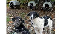 &Delta;ή&mu;&omicron;&sigmaf; &Beta;έ&rho;&omicron;&iota;&alpha;&sigmaf;: &Pi;&rho;ό&gamma;&rho;&alpha;&mu;&mu;&alpha; &Epsilon;&theta;&epsilon;&lambda;&omicron;&nu;&tau;&iota;&kappa;ώ&nu; &Sigma;&tau;&epsilon;&iota;&rho;ώ&sigma;&epsilon;&omega;&nu;