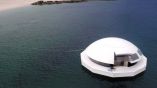 Anthenea, έ&nu;&alpha; &pi;&lambda;&omega;&tau;ό &pi;&alpha;&lambda;ά&tau;&iota; &mu;&epsilon; &theta;έ&alpha; &tau;&omicron;&nu; &beta;&upsilon;&theta;ό &tau;&eta;&sigmaf; &theta;ά&lambda;&alpha;&sigma;&sigma;&alpha;&sigmaf;