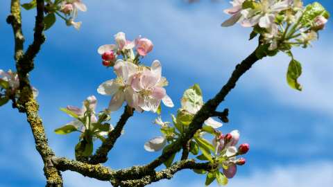 &Alpha;&nu;&tau;&iota;&mu;&epsilon;&tau;ώ&pi;&iota;&sigma;&eta; &epsilon;&chi;&theta;&rho;ώ&nu; &sigma;&tau;&alpha; &Mu;&eta;&lambda;&omicron;&epsilon;&iota;&delta;ή | &Alpha;&gamma;&rho;&omicron;&tau;&iota;&kappa;ά &nu;έ&alpha; IMATHIOTIKIGI.GR