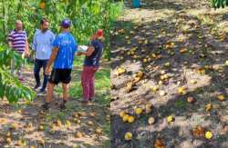 &Omicron; &Tau;ά&sigma;&omicron;&sigmaf; &Mu;&pi;&alpha;&rho;&tau;&zeta;ώ&kappa;&alpha;&sigmaf; &zeta;&eta;&tau;ά &alpha;&pi;ό &Epsilon;&Lambda;&Gamma;&Alpha; &kappa;&alpha;&iota; &Upsilon;&Pi;&Alpha;A&Tau; ά&mu;&epsilon;&sigma;&alpha; &epsilon;&lambda;έ&gamma;&chi;&omicron;&upsilon;&sigmaf; &kappa;&alpha;&iota; &alpha;&pi;&omicron;&zeta;&eta;&mu;&iota;ώ&sigma;&epsilon;&iota;&sigmaf; &gamma;&iota;&alpha; &tau;&iota;&sigmaf; &kappa;&alpha;&lambda;&lambda;&iota;έ&rho;&gamma;&epsilon;&iota;&epsilon;&sigmaf; &pi;&omicron;&upsilon; &kappa;&alpha;&tau;&alpha;&sigma;&tau;&rho;ά&phi;&eta;&kappa;&alpha;&nu; &alpha;&pi;ό &beta;&rho;&omicron;&chi;&omicron;&pi;&tau;ώ&sigma;&epsilon;&iota;&sigmaf; &kappa;&alpha;&iota; &chi;&alpha;&lambda;&alpha;&zeta;ό&pi;&tau;&omega;&sigma;&eta;