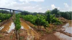 &Iota;&sigma;&chi;&upsilon;&rho;έ&sigmaf; &beta;&rho;&omicron;&chi;&omicron;&pi;&tau;ώ&sigma;&epsilon;&iota;&sigmaf; &pi;&rho;&omicron;&kappa;ά&lambda;&epsilon;&sigma;&alpha;&nu; &sigma;&eta;&mu;&alpha;&nu;&tau;&iota;&kappa;έ&sigmaf; &zeta;&eta;&mu;&iota;έ&sigmaf; &sigma;&epsilon; &kappa;&alpha;&lambda;&lambda;&iota;έ&rho;&gamma;&epsilon;&iota;&epsilon;&sigmaf; &sigma;&tau;&eta;&nu; &Kappa;&rho;ή&tau;&eta;