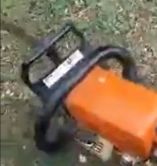 &Alpha;&gamma;&alpha;&nu;&alpha;&kappa;&tau;&iota;&sigma;&mu;έ&nu;&omicron;&iota; &rho;&omicron;&delta;&alpha;&kappa;&iota;&nu;&omicron;&pi;&alpha;&rho;&alpha;&gamma;&omega;&gamma;&omicron;ί &beta;&iota;ώ&nu;&omicron;&upsilon;&nu; &pi;&omicron;&lambda;ύ&mu;&omicron;&rho;&phi;&omicron; &epsilon;&mu;&pi;&alpha;&iota;&gamma;&mu;ό &kappa;&alpha;&iota; &kappa;ό&beta;&omicron;&upsilon;&nu; &tau;&alpha; &delta;έ&nu;&tau;&rho;&alpha; &tau;&omicron;&upsilon;&sigmaf; (&beta;ί&nu;&tau;&epsilon;&omicron;)