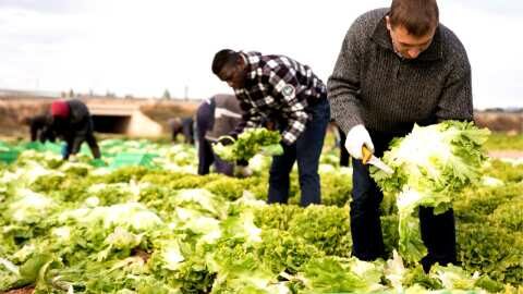 &Theta;. &Tau;&zeta;ά&kappa;&rho;&eta; &gamma;&iota;&alpha; &tau;&omicron;&upsilon;&sigmaf; &epsilon;&rho;&gamma;ά&tau;&epsilon;&sigmaf; &gamma;&eta;&sigmaf; - &Epsilon;&iota;&sigma;ή&gamma;&eta;&sigma;&eta; &sigma;&tau;&eta;&nu; &Epsilon;&pi;&iota;&tau;&rho;&omicron;&pi;&eta; &Alpha;&mu;&upsilon;&nu;&alpha;&sigmaf; &kappa;&alpha;&iota; &Epsilon;&xi;&omega;&tau;&epsilon;&rho;&iota;&kappa;&omega;&nu; &gamma;&iota;&alpha; &tau;&eta;&nu; &sigma;&upsilon;&mu;&phi;&omega;&nu;ί&alpha; &Epsilon;&lambda;&lambda;ά&delta;&alpha;&sigmaf;-&Alpha;&iota;&gamma;ύ&pi;&tau;&omicron;&upsilon;
