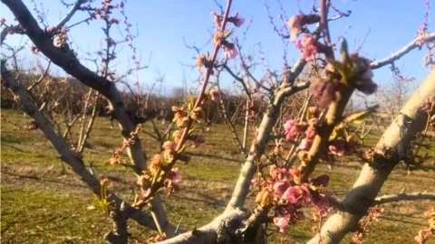 &Tau;έ&lambda;&omicron;&sigmaf; &Phi;&lambda;&epsilon;&beta;ά&rho;&eta; &kappa;&alpha;&iota; &nu;έ&alpha; &pi;&lambda;&eta;&rho;&omega;&mu;ή &Epsilon;&Lambda;&Gamma;&Alpha; - &Pi;ό&tau;&epsilon; &omicron;&lambda;&omicron;&kappa;&lambda;&eta;&rho;ώ&nu;&omicron;&nu;&tau;&alpha;&iota; &omicron;&iota; &pi;&lambda;&eta;&rho;&omega;&mu;έ&sigmaf; &gamma;&iota;&alpha; &tau;&omicron;&upsilon;&sigmaf; &pi;&alpha;&gamma;&epsilon;&tau;&omicron;ύ&sigmaf; &tau;&eta;&sigmaf; ά&nu;&omicron;&iota;&xi;&eta;&sigmaf;