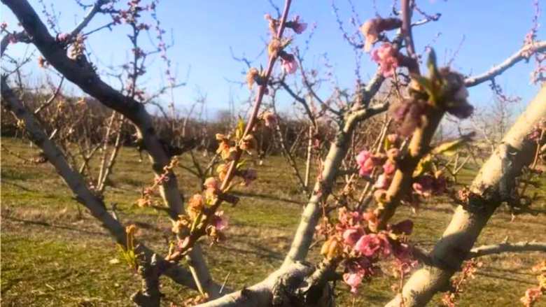 &Tau;έ&lambda;&omicron;&sigmaf; &Phi;&lambda;&epsilon;&beta;ά&rho;&eta; &kappa;&alpha;&iota; &nu;έ&alpha; &pi;&lambda;&eta;&rho;&omega;&mu;ή &Epsilon;&Lambda;&Gamma;&Alpha; - &Pi;ό&tau;&epsilon; &omicron;&lambda;&omicron;&kappa;&lambda;&eta;&rho;ώ&nu;&omicron;&nu;&tau;&alpha;&iota; &omicron;&iota; &pi;&lambda;&eta;&rho;&omega;&mu;έ&sigmaf; &gamma;&iota;&alpha; &tau;&omicron;&upsilon;&sigmaf; &pi;&alpha;&gamma;&epsilon;&tau;&omicron;ύ&sigmaf; &tau;&eta;&sigmaf; ά&nu;&omicron;&iota;&xi;&eta;&sigmaf;