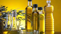 Έ&kappa;&lambda;&epsilon;&psi;&alpha;&nu; &alpha;&pi;ό &epsilon;&lambda;&alpha;&iota;&omicron;&tau;&rho;&iota;&beta;&epsilon;ί&omicron; &sigma;&tau;&omicron; &Alpha;&iota;&tau;&omega;&lambda;&iota;&kappa;ό 600 &kappa;&iota;&lambda;ά &lambda;ά&delta;&iota;