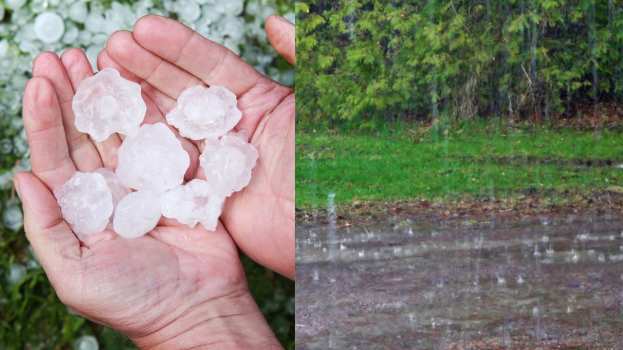 &Epsilon;&Lambda;&Gamma;&Alpha;-&Eta;&mu;&alpha;&theta;ί&alpha;: &Kappa;&omicron;&iota;&nu;&omicron;&pi;&omicron;&iota;ή&theta;&eta;&kappa;&alpha;&nu; &tau;&alpha; &pi;&omicron;&rho;ί&sigma;&mu;&alpha;&tau;&alpha; &epsilon;&kappa;&tau;ί&mu;&eta;&sigma;&eta;&sigmaf; &tau;&omega;&nu; &zeta;&eta;&mu;&iota;ώ&nu; &alpha;&pi;ό &chi;&alpha;&lambda;ά&zeta;&iota; &kappa;&alpha;&iota; &beta;&rho;&omicron;&chi;ό&pi;&tau;&omega;&sigma;&eta; - &Pi;&omicron;&iota;&omicron;&upsilon;&sigmaf; &alpha;&phi;&omicron;&rho;&omicron;ύ&nu;