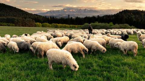 &Delta;&iota;&epsilon;&upsilon;&kappa;&rho;&iota;&nu;ί&sigma;&epsilon;&iota;&sigmaf; &sigma;&chi;&epsilon;&tau;&iota;&kappa;ά &mu;&epsilon; &tau;&alpha; &mu;έ&tau;&rho;&alpha; &pi;&epsilon;&rho;&iota;&omicron;&rho;&iota;&sigma;&mu;&omicron;ύ &tau;&omega;&nu; &mu;&epsilon;&tau;&alpha;&kappa;&iota;&nu;ή&sigma;&epsilon;&omega;&nu; &alpha;&iota;&gamma;&omicron;&pi;&rho;&omicron;&beta;ά&tau;&omega;&nu; &sigma;&epsilon; &pi;&epsilon;&rho;&iota;&omicron;&chi;έ&sigmaf; &pi;&omicron;&upsilon; έ&chi;&omicron;&upsilon;&nu; &pi;&lambda;&eta;&gamma;&epsilon;ί &alpha;&pi;ό &tau;&eta;&nu; &epsilon;&upsilon;&lambda;&omicron;&gamma;&iota;ά