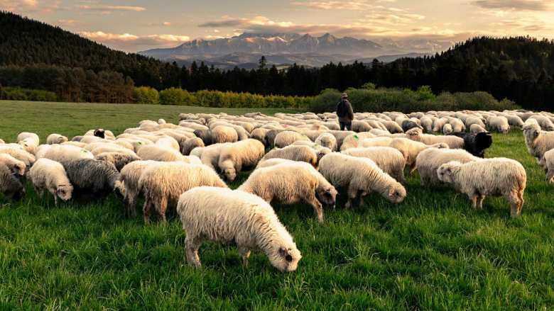 &Delta;&iota;&epsilon;&upsilon;&kappa;&rho;&iota;&nu;ί&sigma;&epsilon;&iota;&sigmaf; &sigma;&chi;&epsilon;&tau;&iota;&kappa;ά &mu;&epsilon; &tau;&alpha; &mu;έ&tau;&rho;&alpha; &pi;&epsilon;&rho;&iota;&omicron;&rho;&iota;&sigma;&mu;&omicron;ύ &tau;&omega;&nu; &mu;&epsilon;&tau;&alpha;&kappa;&iota;&nu;ή&sigma;&epsilon;&omega;&nu; &alpha;&iota;&gamma;&omicron;&pi;&rho;&omicron;&beta;ά&tau;&omega;&nu; &sigma;&epsilon; &pi;&epsilon;&rho;&iota;&omicron;&chi;έ&sigmaf; &pi;&omicron;&upsilon; έ&chi;&omicron;&upsilon;&nu; &pi;&lambda;&eta;&gamma;&epsilon;ί &alpha;&pi;ό &tau;&eta;&nu; &epsilon;&upsilon;&lambda;&omicron;&gamma;&iota;ά