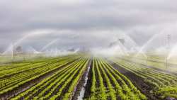 &Delta;&epsilon;&sigma;&mu;&epsilon;&upsilon;&tau;&iota;&kappa;ή &pi;&rho;&omicron;&sigma;&phi;&omicron;&rho;ά &gamma;&iota;&alpha; &tau;&eta;&nu; &kappa;&alpha;&tau;&alpha;&sigma;&kappa;&epsilon;&upsilon;ή &tau;&omicron;&upsilon; έ&rho;&gamma;&omicron;&upsilon; &laquo;&Mu;&epsilon;&tau;&alpha;&phi;&omicron;&rho;ά &kappa;&alpha;&iota; &delta;&iota;&alpha;&nu;&omicron;&mu;ή &nu;&epsilon;&rho;&omicron;ύ &alpha;&pi;ό &tau;&omicron;&nu; &pi;&omicron;&tau;&alpha;&mu;ό &Nu;έ&sigma;&tau;&omicron; &sigma;&tau;&eta;&nu; &pi;&epsilon;&delta;&iota;ά&delta;&alpha; &tau;&eta;&sigmaf; &Xi;ά&nu;&theta;&eta;&sigmaf; &gamma;&iota;&alpha; &alpha;&rho;&delta;&epsilon;&upsilon;&tau;&iota;&kappa;&omicron;ύ&sigmaf; &sigma;&kappa;&omicron;&pi;&omicron;ύ&sigmaf;&raquo;, &mu;έ&sigma;&omega; &Sigma;&Delta;&Iota;&Tau;