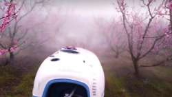 &Delta;&iota;&alpha;&phi;&upsilon;&lambda;&lambda;&iota;&kappa;ά &Pi;&upsilon;&rho;&iota;&tau;ί&omicron;&upsilon; &kappa;&alpha;&iota; &alpha;&sigma;&beta;&epsilon;&sigma;&tau;ί&omicron;&upsilon; - &Gamma;&iota;&alpha;&tau;ί &nu;&alpha; &tau;&alpha; &epsilon;&phi;&alpha;&rho;&mu;ό&sigma;&omicron;&upsilon;&mu;&epsilon; &sigma;&tau;&alpha; &delta;έ&nu;&tau;&rho;&alpha; &mu;&alpha;&sigmaf; &kappa;&alpha;&iota; &pi;&omicron;&upsilon; &beta;&omicron;&eta;&theta;&omicron;ύ&nu;