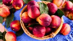 &Nu;&epsilon;&kappa;&tau;&alpha;&rho;ί&nu;&iota;&alpha;: &Beta;&omicron;&eta;&theta;&omicron;ύ&nu; &sigma;&tau;&eta;&nu; &alpha;&pi;ώ&lambda;&epsilon;&iota;&alpha; &beta;ά&rho;&omicron;&upsilon;&sigmaf; &kappa;&alpha;&iota; &tau;&eta;&nu; &kappa;&alpha;&rho;&delta;&iota;ά &mu;&alpha;&sigmaf; , &epsilon;&nu;&iota;&sigma;&chi;ύ&omicron;&upsilon;&nu; &tau;&omicron; &alpha;&nu;&omicron;&sigma;&omicron;&pi;&omicron;&iota;&eta;&tau;&iota;&kappa;ό &kappa;&alpha;&iota; &tau;&eta;&nu; &upsilon;&gamma;&epsilon;ί&alpha; &tau;&omega;&nu; &mu;&alpha;&tau;&iota;ώ&nu;