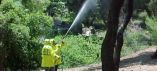 &Delta;&iota;&alpha;&beta;&epsilon;&beta;&alpha;ί&omega;&sigma;&eta; &Upsilon;&pi;&Alpha;&Alpha;&Tau; &pi;&rho;&omicron;&sigmaf; &tau;&omicron;&nu; &pi;&epsilon;&rho;&iota;&phi;&epsilon;&rho;&epsilon;&iota;ά&rho;&chi;&eta; &Pi;&epsilon;&lambda;&omicron;&pi;&omicron;&nu;&nu;ή&sigma;&omicron;&upsilon; &gamma;&iota;&alpha; &theta;&epsilon;&tau;&iota;&kappa;ή &epsilon;&iota;&sigma;ή&gamma;&eta;&sigma;&eta; &epsilon;&kappa; &mu;έ&rho;&omicron;&upsilon;&sigmaf; &tau;&omicron;&upsilon; &alpha;&nu;&alpha;&phi;&omicron;&rho;&iota;&kappa;ά &mu;&epsilon; &tau;&eta;&nu; &alpha;ύ&xi;&eta;&sigma;&eta; &tau;&eta;&sigmaf; &pi;ί&sigma;&tau;&omega;&sigma;&eta;&sigmaf; &delta;&alpha;&kappa;&omicron;&kappa;&tau;&omicron;&nu;ί&alpha;&sigmaf;