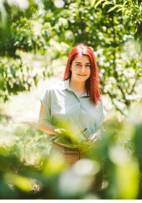 &Omicron;&lambda;&upsilon;&mu;&pi;ί&alpha; &Alpha;&pi;&omicron;&sigma;&tau;ό&lambda;&omicron;&upsilon;: &Eta; &kappa;&upsilon;&beta;έ&rho;&nu;&eta;&sigma;&eta; &sigma;&upsilon;&nu;&epsilon;&chi;ί&zeta;&epsilon;&iota; &nu;&alpha; &kappa;&omicron;&rho;&omicron;ϊ&delta;&epsilon;ύ&epsilon;&iota; &tau;&omicron;&upsilon;&sigmaf; &alpha;&gamma;&rho;ό&tau;&epsilon;&sigmaf; &tau;&eta;&sigmaf; &Eta;&mu;&alpha;&theta;ί&alpha;&sigmaf;