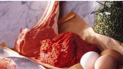 &Pi;&alpha;&gamma;&kappa;ό&sigma;&mu;&iota;&omicron;&sigmaf; &Omicron;&rho;&gamma;&alpha;&nu;&iota;&sigma;&mu;ό&sigmaf; &Tau;&rho;&omicron;&phi;ί&mu;&omega;&nu; &kappa;&alpha;&iota; &Gamma;&epsilon;&omega;&rho;&gamma;ί&alpha;&sigmaf;: &Tau;&omicron; &kappa;&rho;έ&alpha;&sigmaf;, &tau;&alpha; &alpha;&upsilon;&gamma;ά &kappa;&alpha;&iota; &tau;&alpha; &gamma;&alpha;&lambda;&alpha;&kappa;&tau;&omicron;&kappa;&omicron;&mu;&iota;&kappa;ά &laquo;&beta;&alpha;&sigma;&iota;&kappa;έ&sigmaf; &pi;&eta;&gamma;έ&sigmaf;&raquo; &theta;&rho;&epsilon;&pi;&tau;&iota;&kappa;ώ&nu; &sigma;&upsilon;&sigma;&tau;&alpha;&tau;&iota;&kappa;ώ&nu;