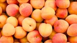 &Pi;&iota;&omicron; &kappa;&epsilon;&rho;&delta;&omicron;&phi;ό&rho;&omicron; &alpha;&pi;ό &pi;&omicron;&tau;έ? &Nu;έ&epsilon;&sigmaf; &pi;&omicron;&iota;&kappa;&iota;&lambda;ί&epsilon;&sigmaf; &mu;&epsilon; &pi;&rho;&omicron;&omicron;&pi;&tau;&iota;&kappa;έ&sigmaf; &sigma;&tau;&omicron; &beta;&epsilon;&rho;ί&kappa;&omicron;&kappa;&omicron; !