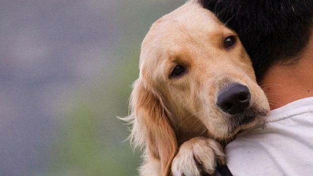 &Sigma;&tau;. &Alpha;&rho;&alpha;&chi;&omega;&beta;ί&tau;&eta;&sigmaf; &gamma;&iota;&alpha; &tau;&alpha; &zeta;ώ&alpha; &sigma;&upsilon;&nu;&tau;&rho;&omicron;&phi;&iota;ά&sigmaf;: H &alpha;&lambda;&alpha;&zeta;&omicron;&nu;&epsilon;ί&alpha; &tau;&eta;&sigmaf; &Kappa;&upsilon;&beta;έ&rho;&nu;&eta;&sigma;&eta;&sigmaf; &kappa;&alpha;&iota; &eta; &epsilon;&xi;&upsilon;&pi;&eta;&rho;έ&tau;&eta;&sigma;&eta; &sigma;&upsilon;&gamma;&kappa;&epsilon;&kappa;&rho;&iota;&mu;έ&nu;&omega;&nu; &omicron;&mu;ά&delta;&omega;&nu; &tau;&eta;&nu; &alpha;&phi;ή&nu;&omicron;&upsilon;&nu; &kappa;&omicron;&iota;&nu;&omega;&nu;&iota;&kappa;ά &alpha;&pi;&omicron;&mu;&omicron;&nu;&omega;&mu;έ&nu;&eta;